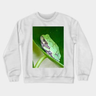 Tree Frog Love Crewneck Sweatshirt